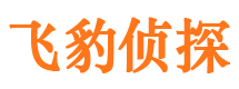 武功寻人公司